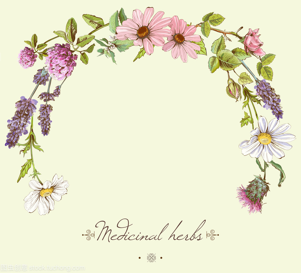 草药机械圆筛 传统与现代的完美融合