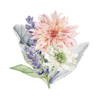 花卉贺卡专题 精选模板与图片素材下载