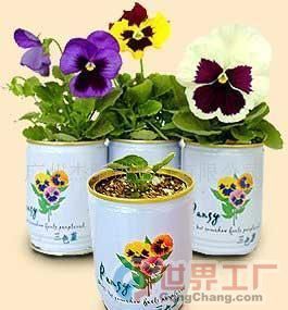 批发易拉罐花卉价格、厂家及机械设备全解析——世界工厂网产品信息库指南